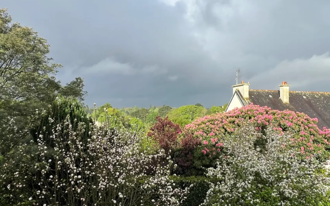 Mardi 15 avril 2025