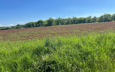 Mardi 13 mai 2025