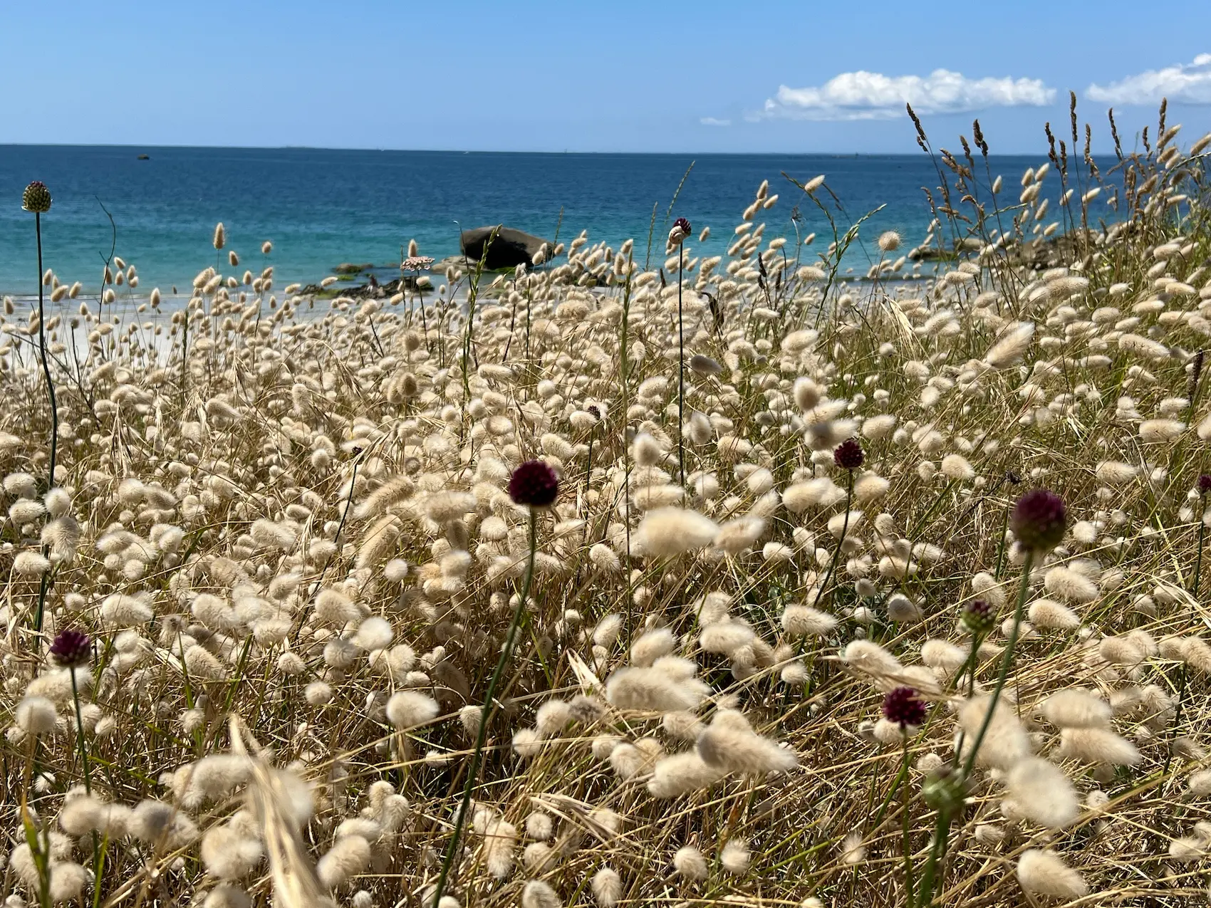 Les Glénan – Image 4