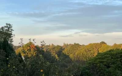 Mar…credi 8 octobre 2025