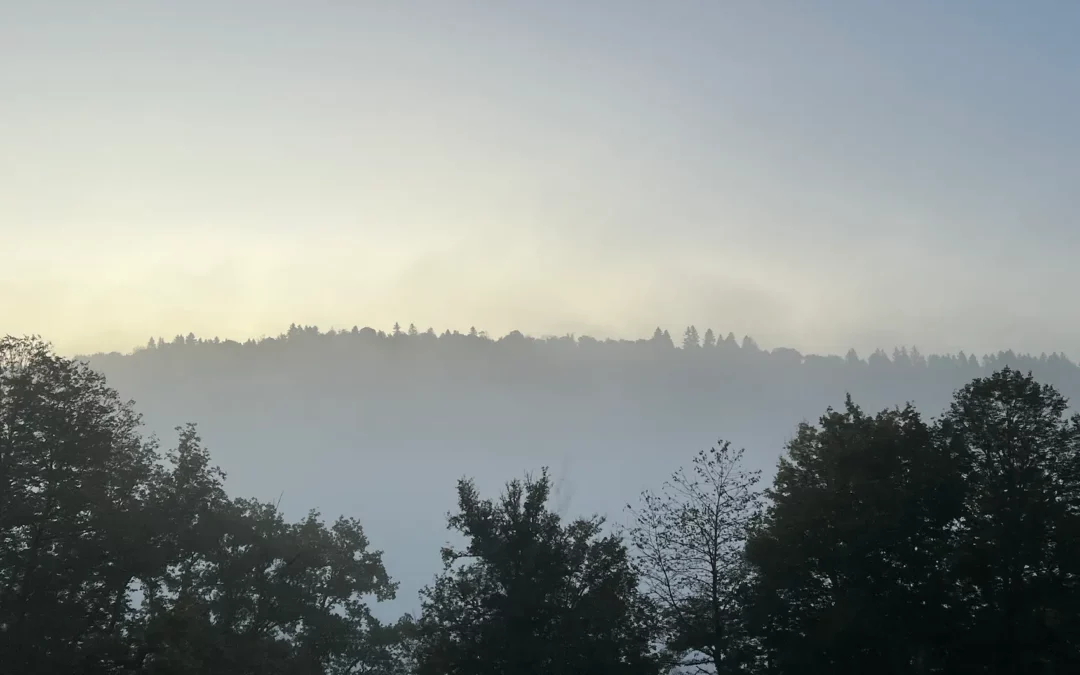 mar’cre’jeudiiiiii …