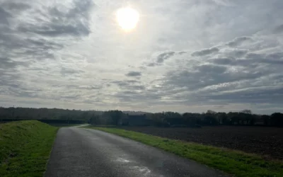 Mardi 11 Novembre 2025