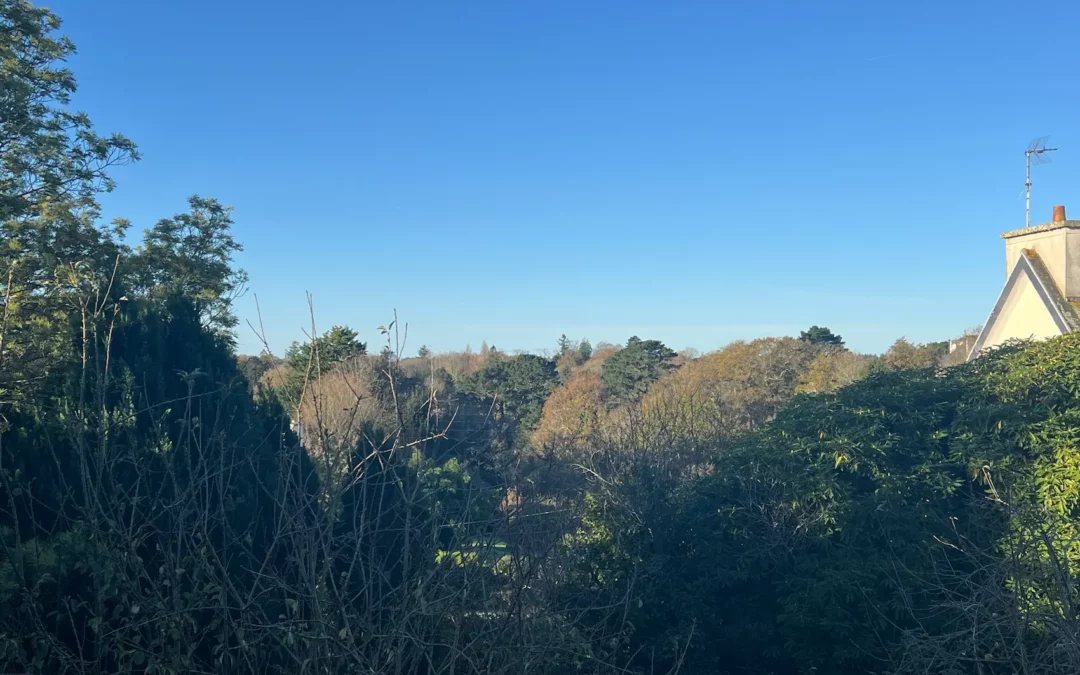 L’avent approche ….