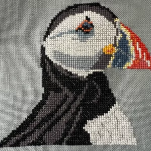 Neil, Macareux Moine