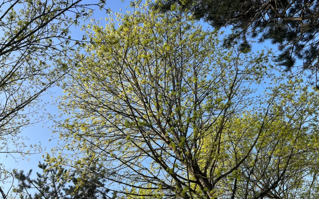 nous sommes mardiiiiiiii….