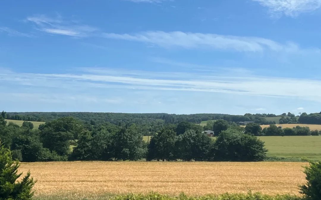 un petit passage par ici